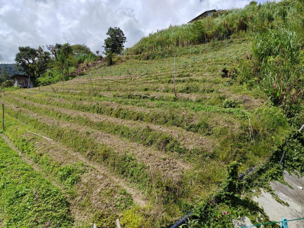 Kundasang Mount Garden 외부 사진