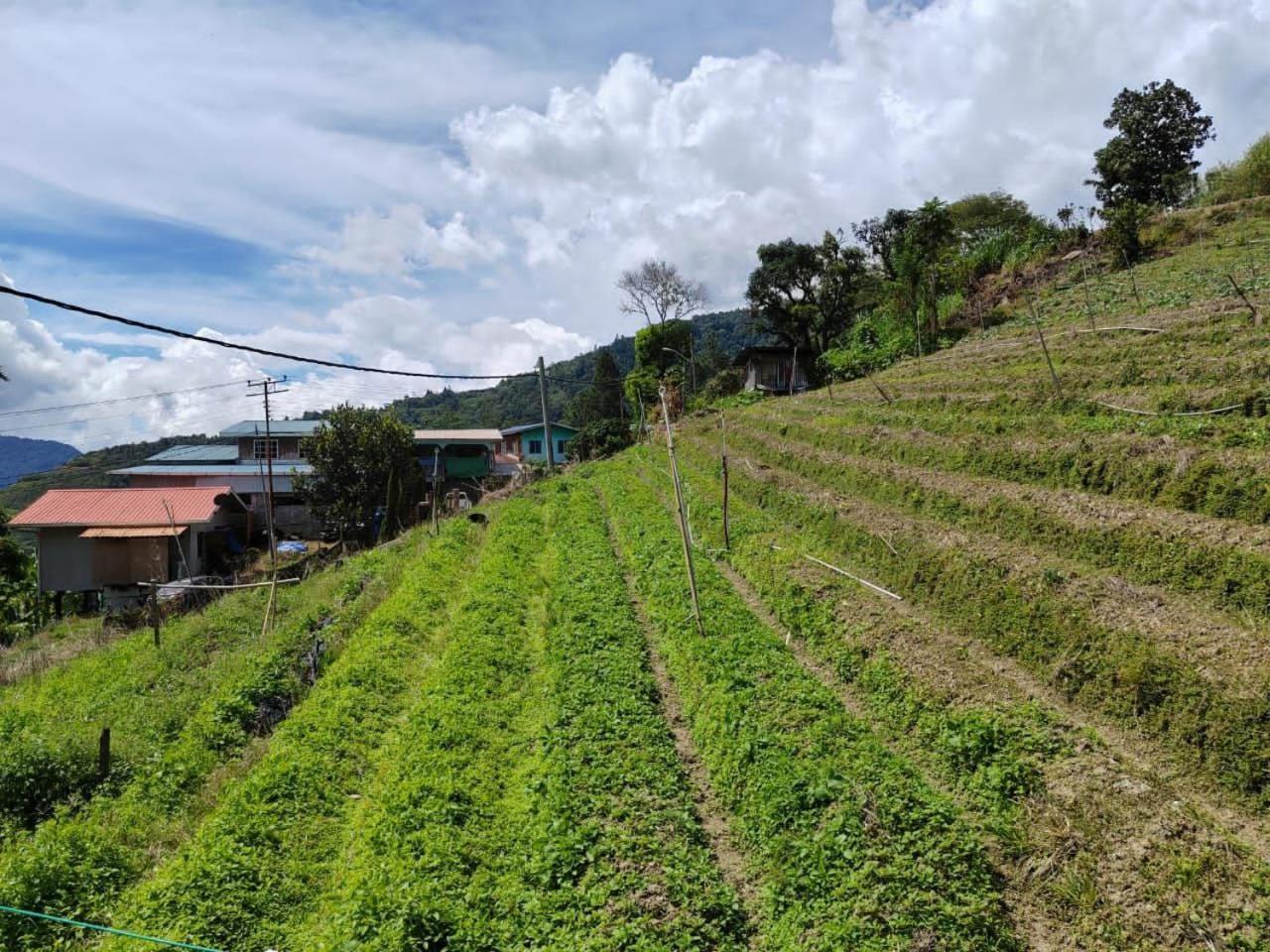 Kundasang Mount Garden 외부 사진